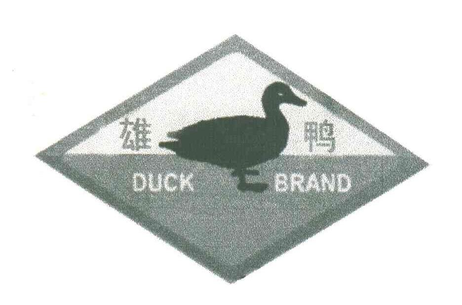 雄鸭DUCK