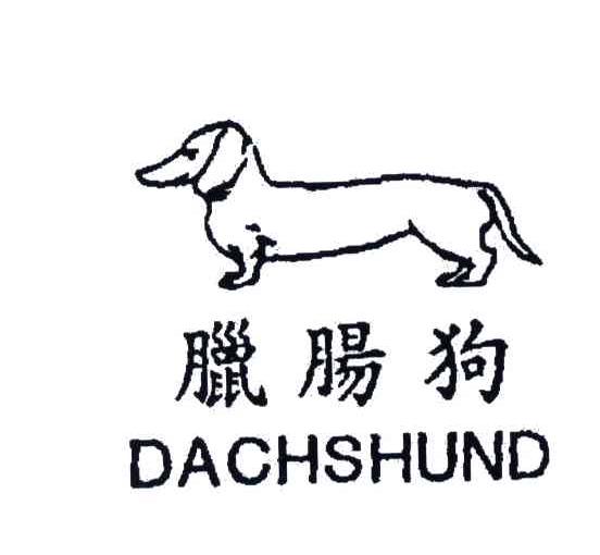 腊肠狗;DACHSHUND