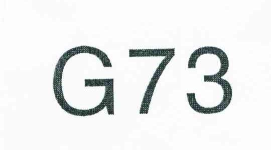 G73
