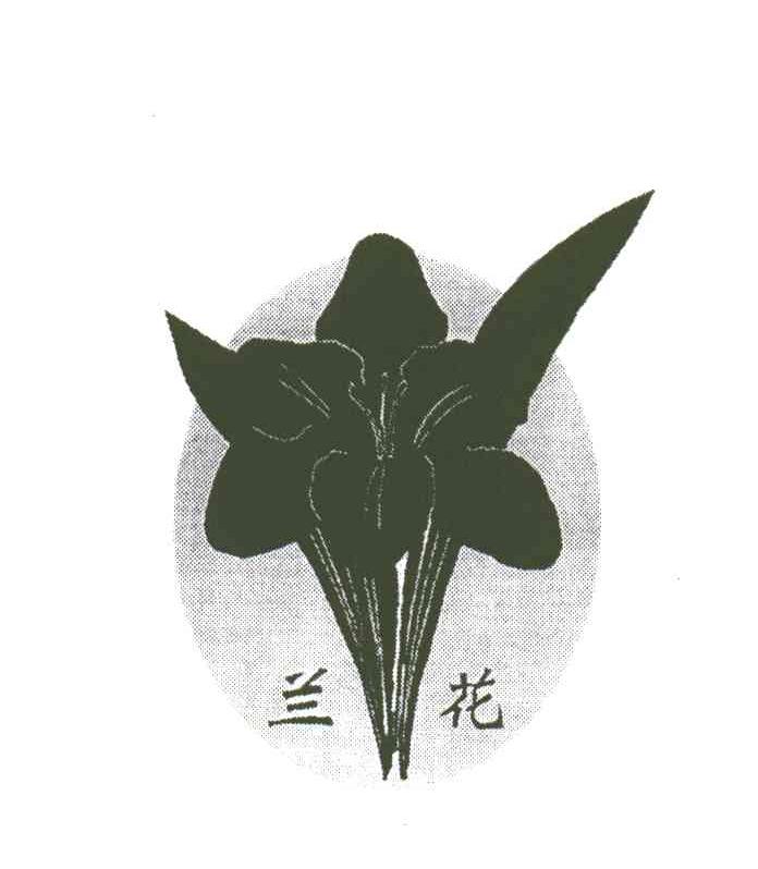 兰花