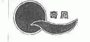 奇凤