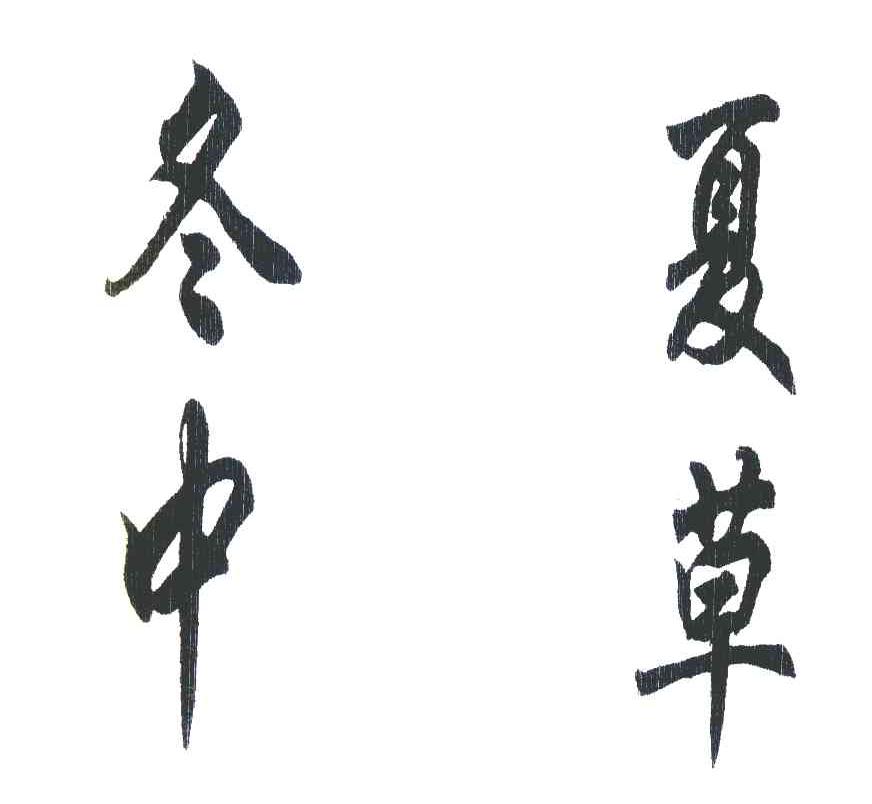 冬夏中草