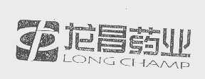 龙昌   LONG CHAMP