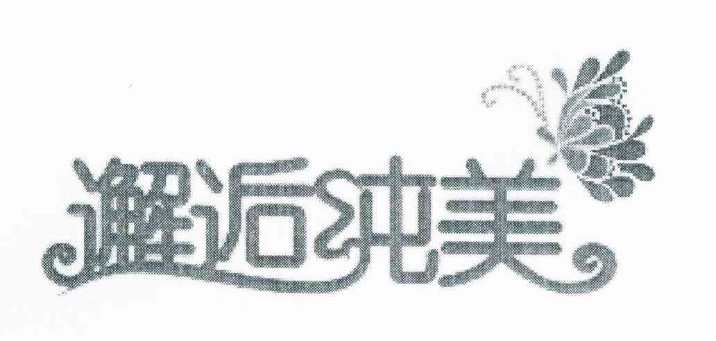 邂逅纯美