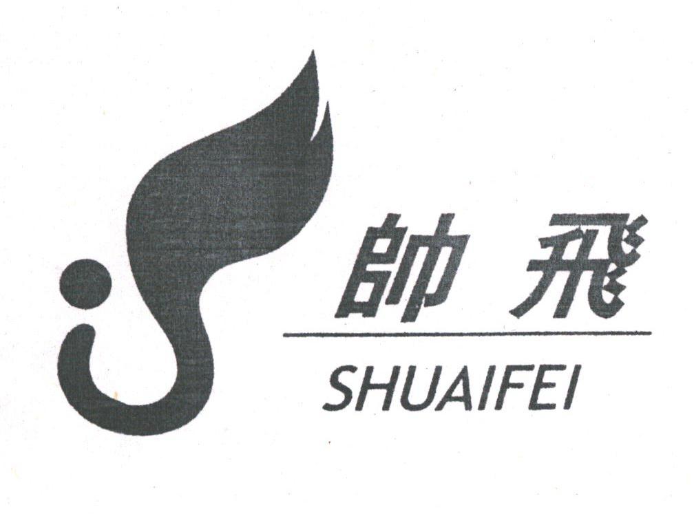 帅飞