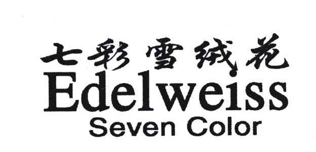 七彩雪绒花;EDELWESS SEVEN COLOR
