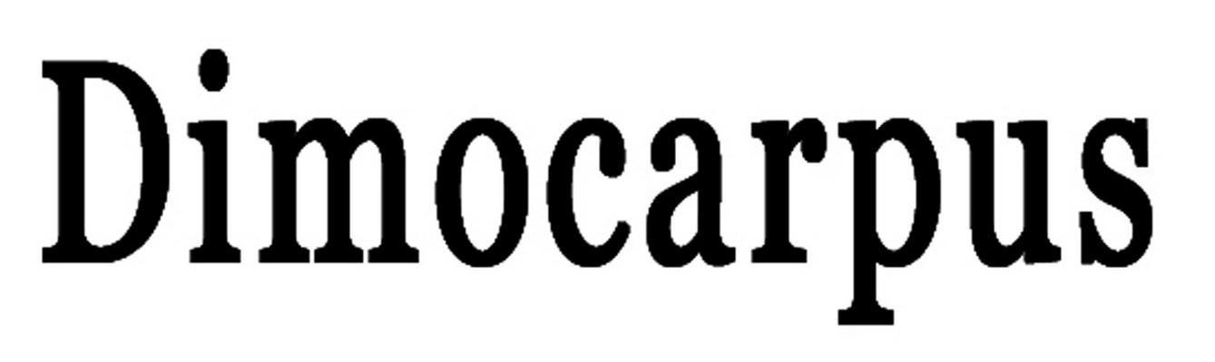 DIMOCARPUS