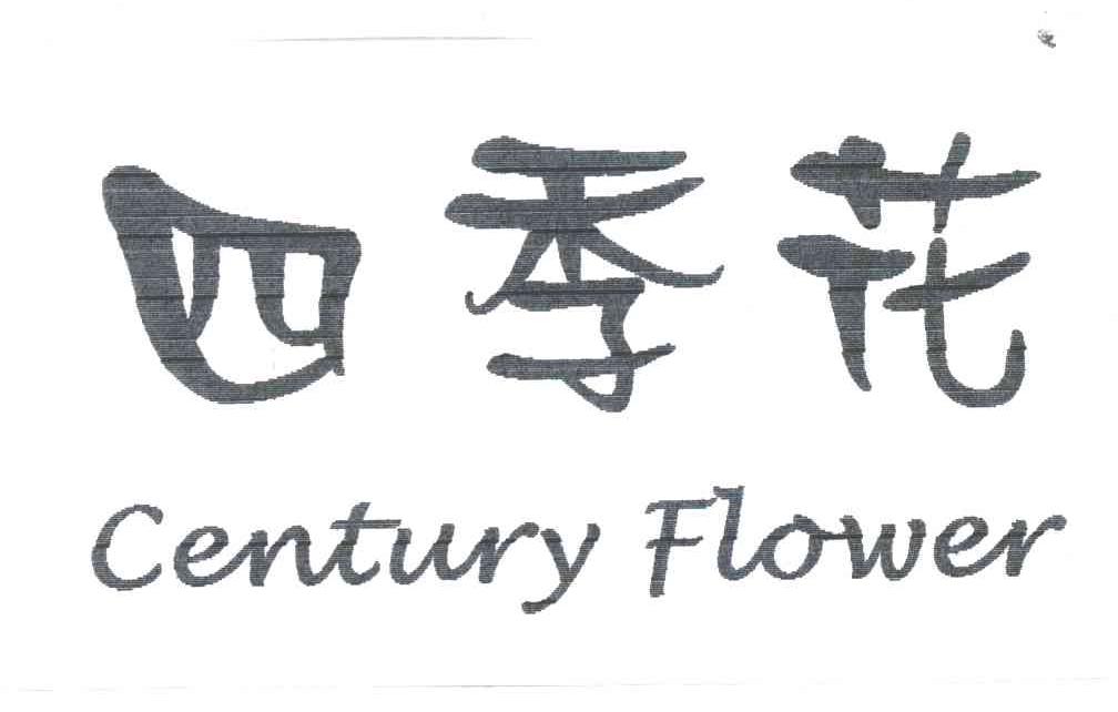 四季花;CENTURY FLOWER