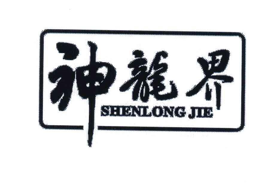 神龙界