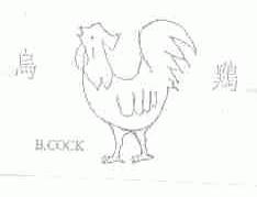 乌鸡;B.COCK