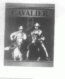 骑手;CAVALIER