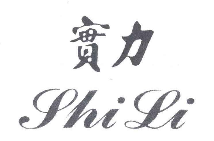 实力;SHI LI