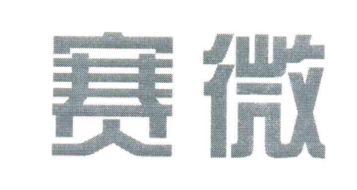 赛微