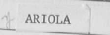 ARIOLA