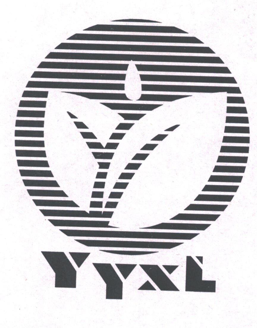 YYXL