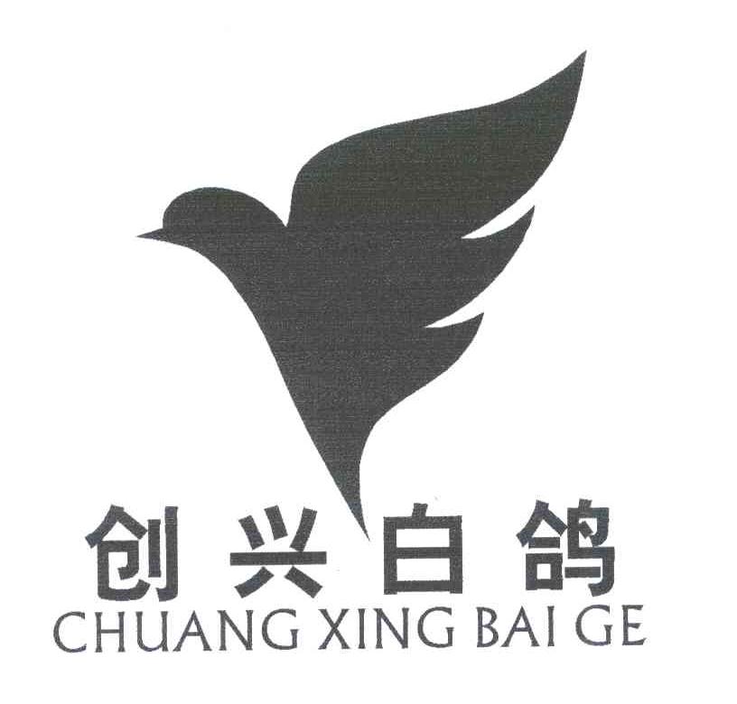 创兴白鸽