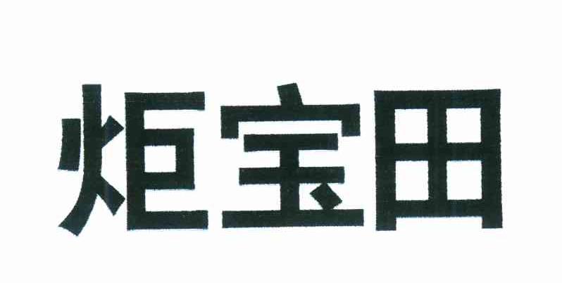 炬宝田