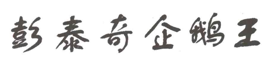 彭泰奇企鹅王