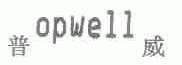普威;OPWELL
