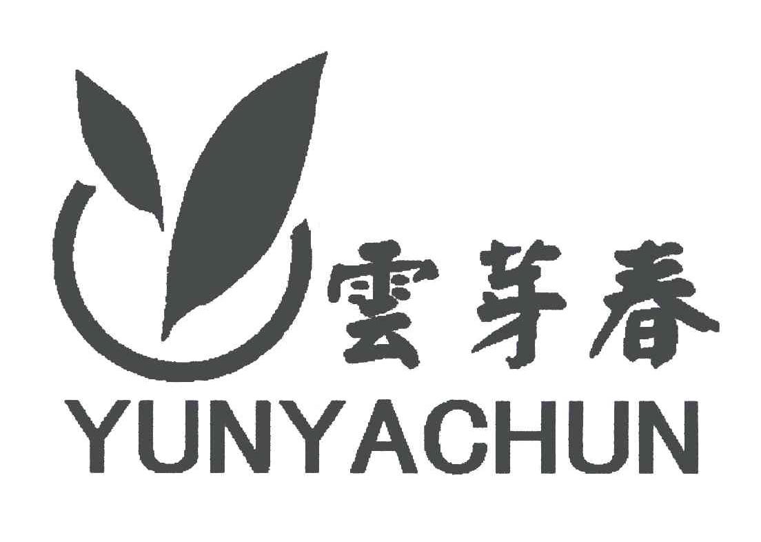 云芽春