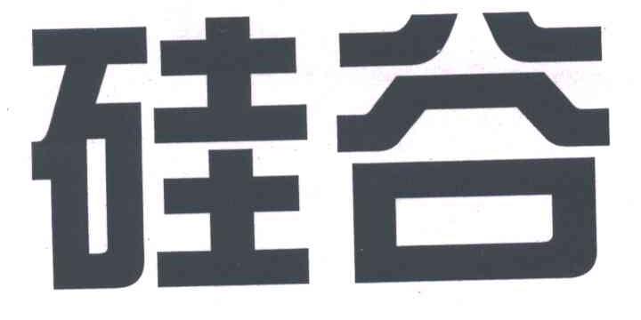 硅谷