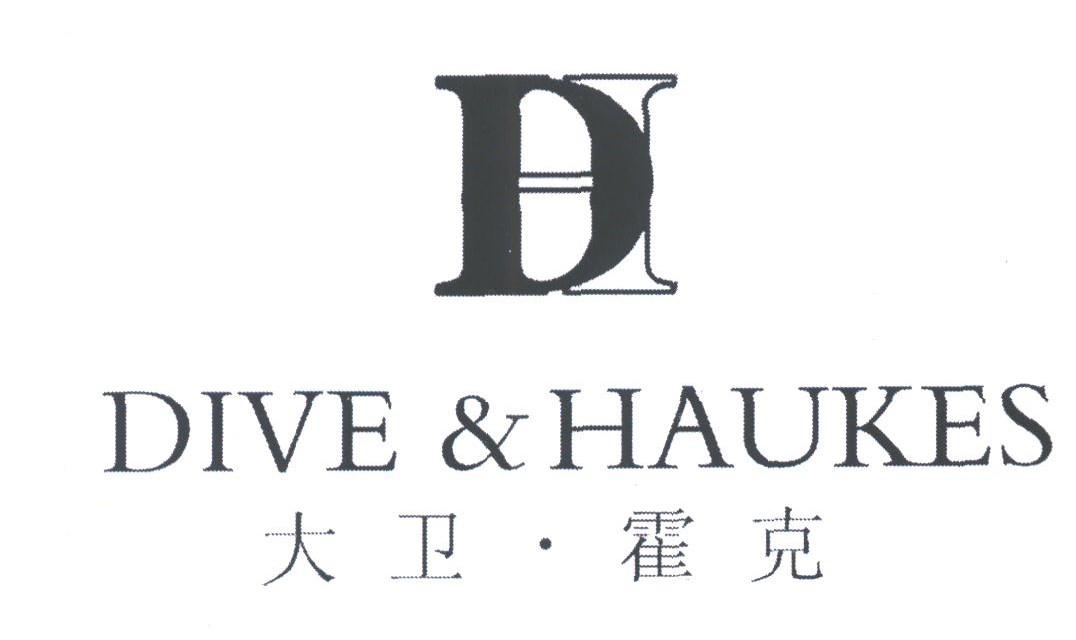 大卫霍克;DIVE & HAUKES