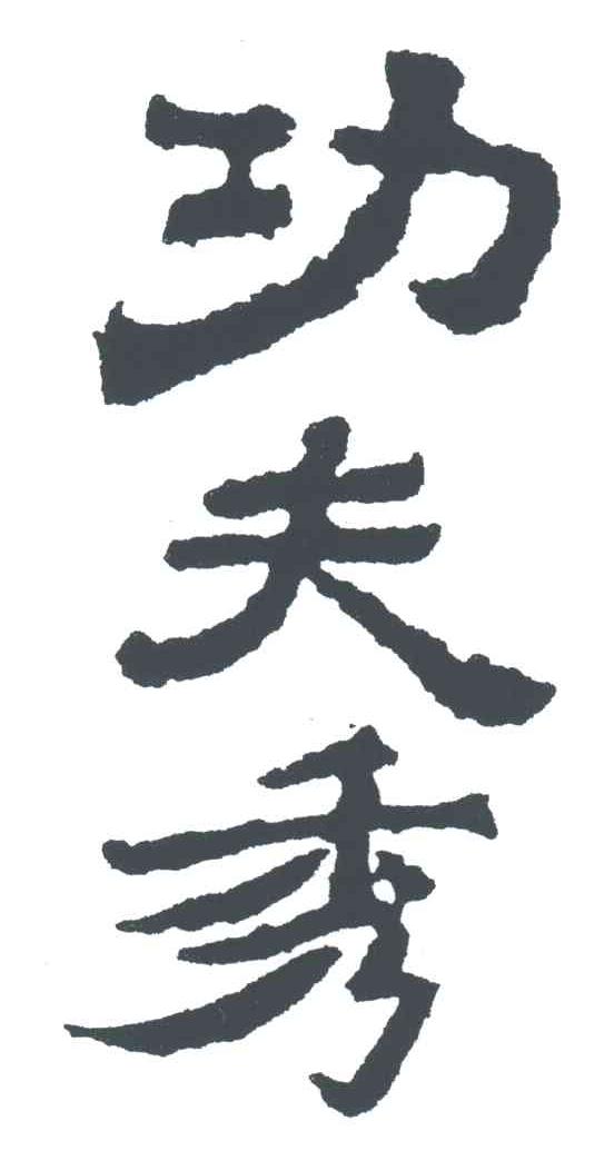 功夫秀;