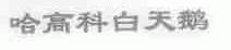 哈高科白天鹅