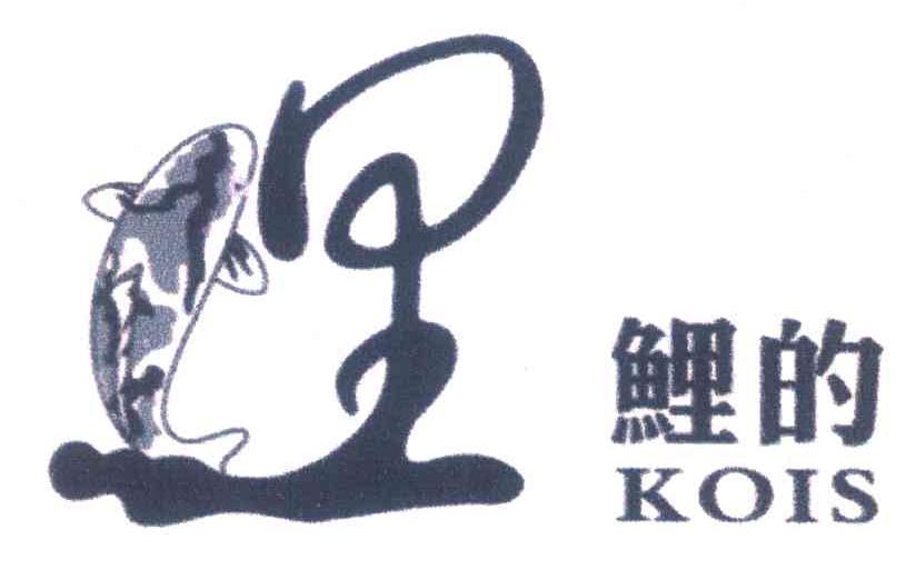 鲤的;里;KOIS