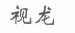 视龙