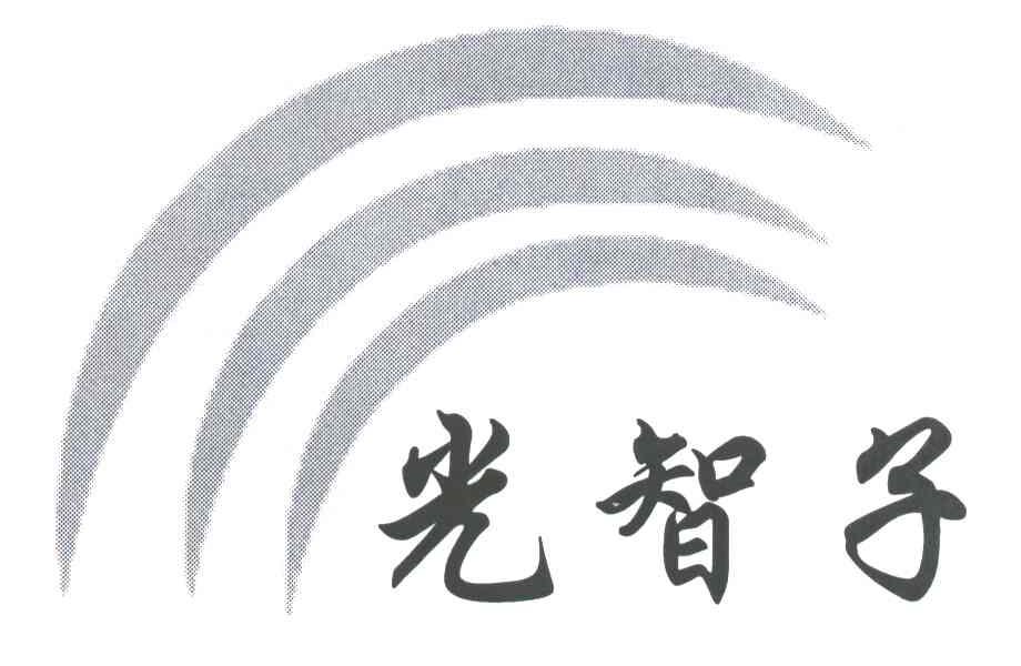 光智子