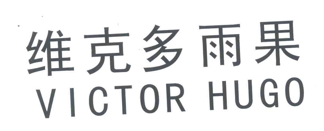 维克多雨果;VICTOR HUGO