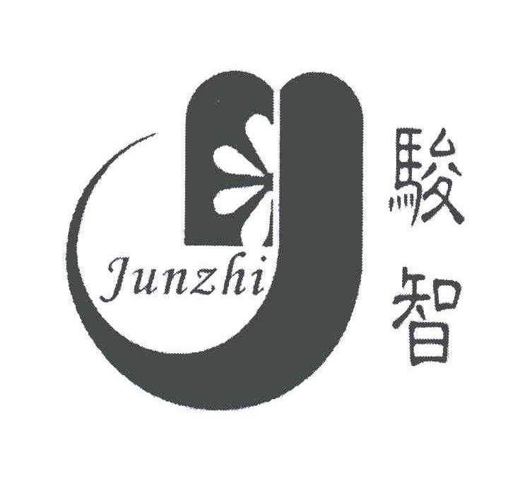 骏智