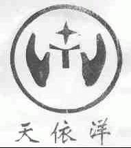 天依洋