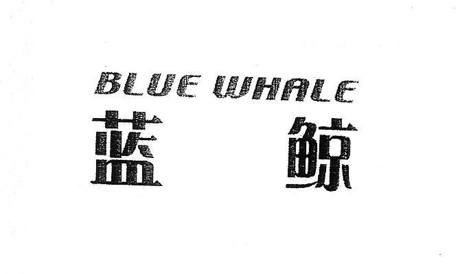 蓝鲸 BLUE WHALE