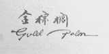 金棕榈  GOID PALM