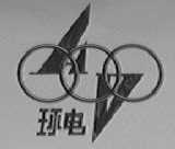 环电