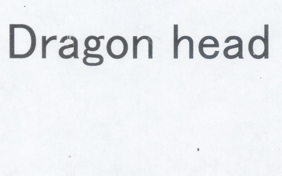 DRAGON HEAD