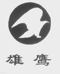 雄鹰