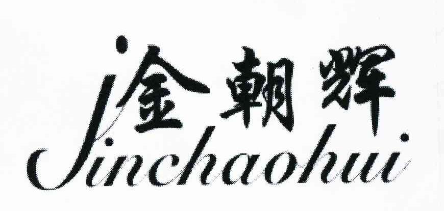 金朝辉