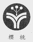 樱桃