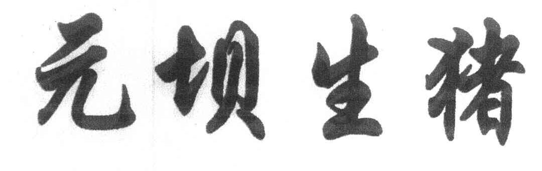 元坝生猪