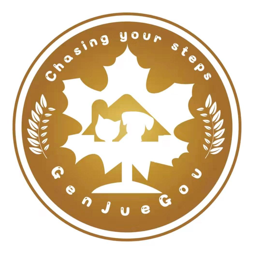 GENJUEGOU CHASING YOUR STEPS