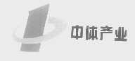中体
