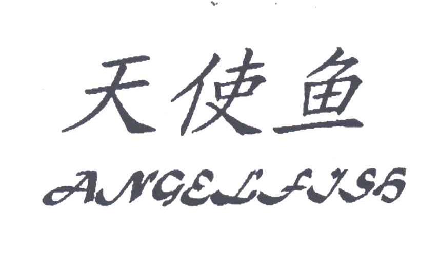 天使鱼ANGELFISH