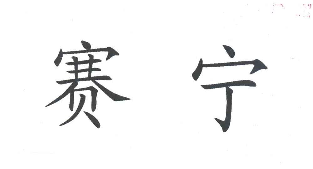 赛宁