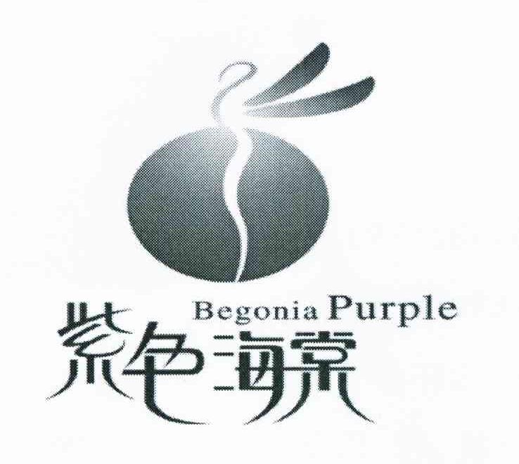 紫色海棠 BEGONIA PURPLE