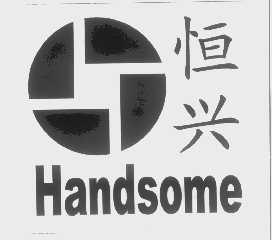 恒兴   HANDSOME