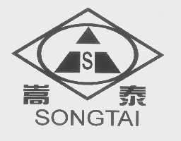 嵩泰