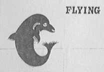 FLYING